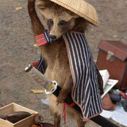 Guaxinim Samurai
