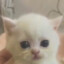 kiu
