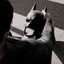 Bruce Wayne