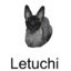 Letuchi mode