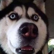 我叫李马骏，找媳妇