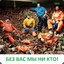 sharipovo24