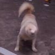 集美們一整個愛住