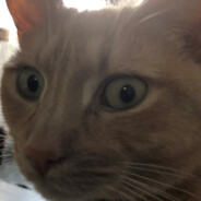 taskmaster - steam id 76561198267912884