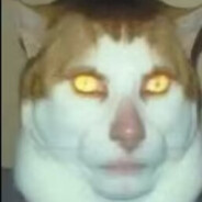 右键是野性狂暴