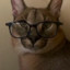 Big SMart FloPPA