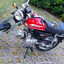 marek77