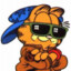 Garfield (with attitude)