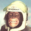 Astronaut's avatar