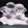 itrustno1fr avatar