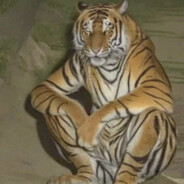 KASZA TRICEPS "skins.army"