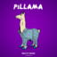 PILLAMA