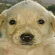 I use 2 nut to feed ur mom