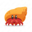 Hermit_Crab