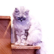 저는아무것도 모르겠습니다_moru