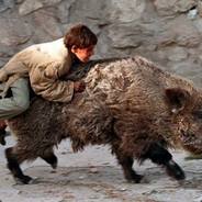 jenot12345  Darz Bór