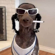 snoop drog