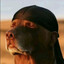 Boof