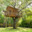 Treehouse