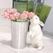 她说我喝药贼快