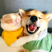 骑上猪儿虫看世界