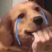 我是菜狗请轻点