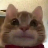 距钟意濑棍仔糖