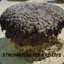 A_Stromatolite