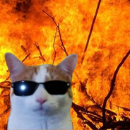 dice