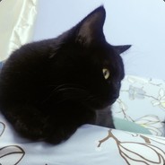 发牌员的心肝宝贝