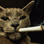 blaZe