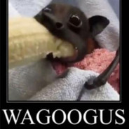 PietrosPog