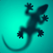 GEKKO - steam id 76561197960401582