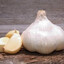 cesnakinis