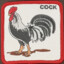 The cock