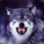 1-MAN-WOLFPACK