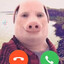 John Pork