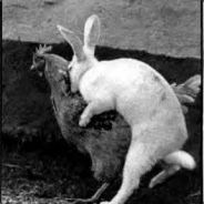 [Krauties] Inzjejin Dwejne