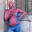 Desi Spidermon