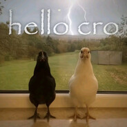 qnwkk discord.gg/cscdc