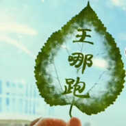 不杀，那就是和平