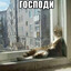 крутой парень