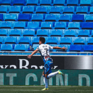 梅老八倒拔垂杨柳