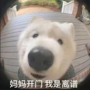 不要相信漂亮女人