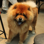 我來幫生還者泡個茶(_=_)