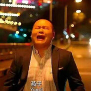 还会再见吗，燕子