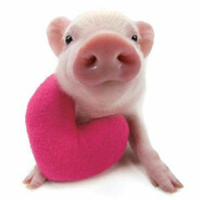 ลาบกูเมิน