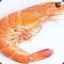Shrimpos