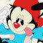 wakko warner