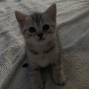 Артем микрозайм